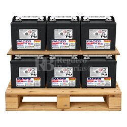 6 bater�as Buggy 8 Voltios 183 Ah | Trojan Pacer P-875